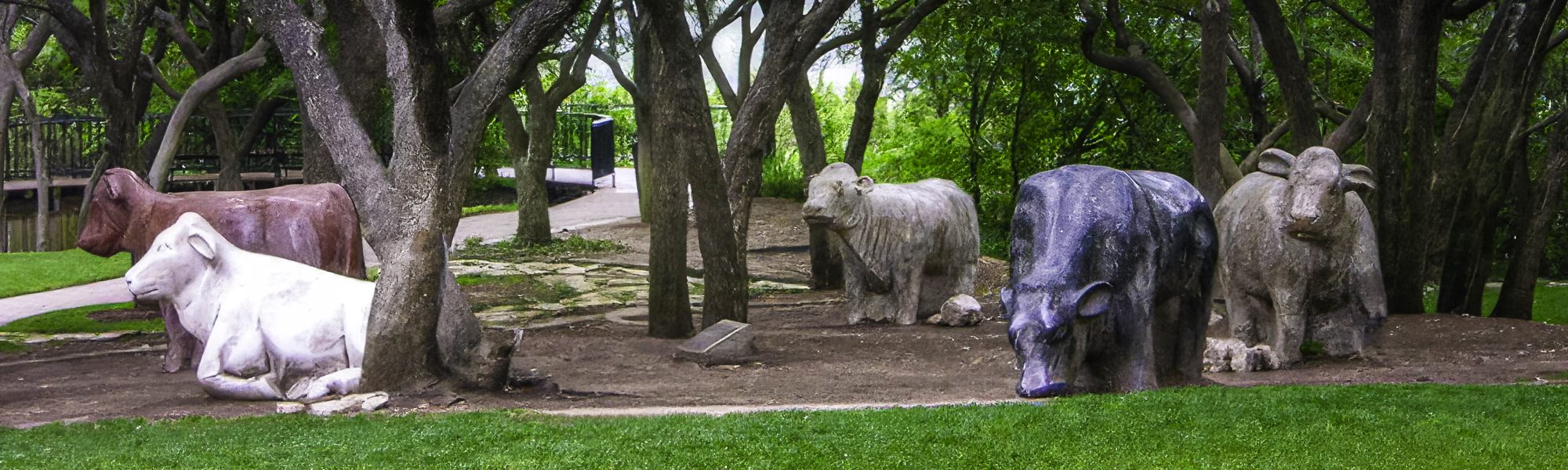 Arboretum Header