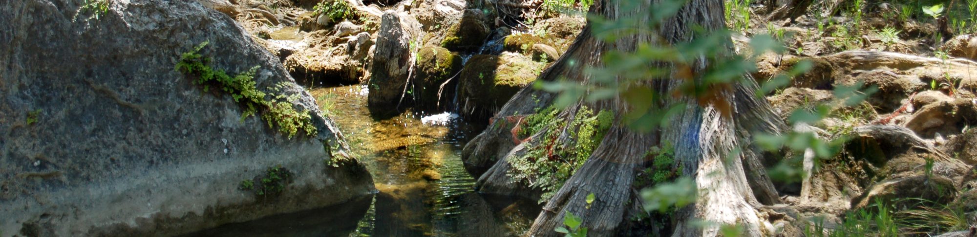 Westlake Header