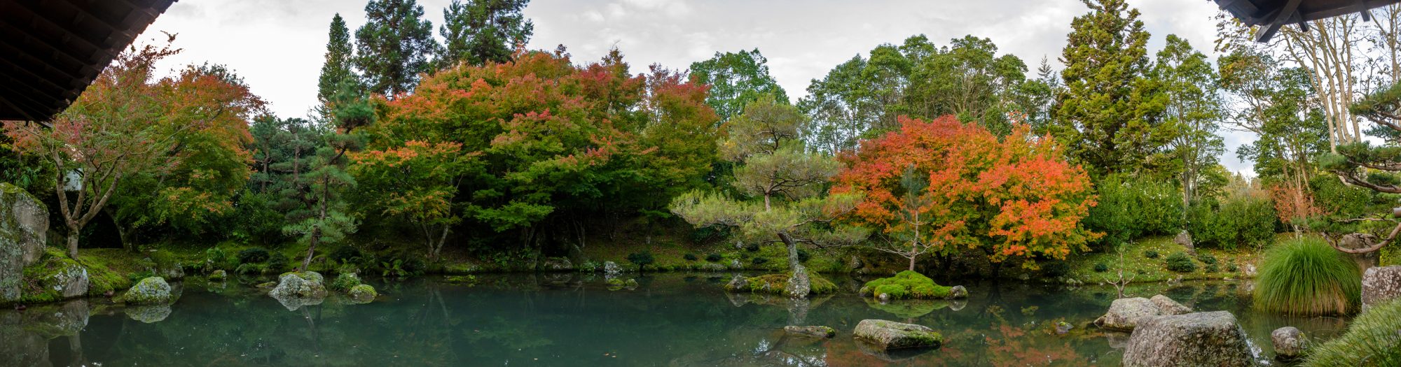 Bee Cave Header