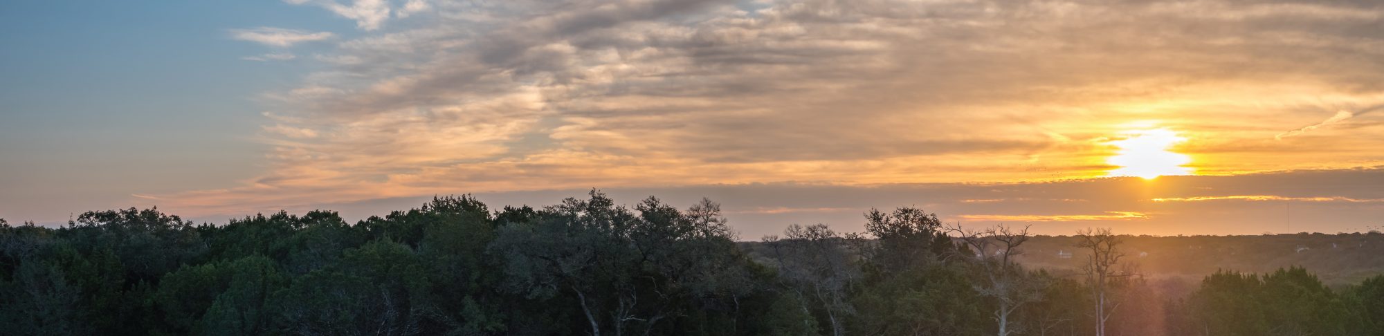 Cedar Hill Header