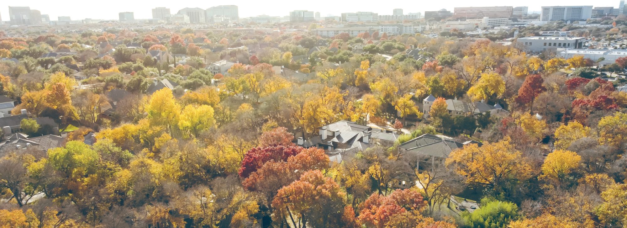 Preston Hollow Header