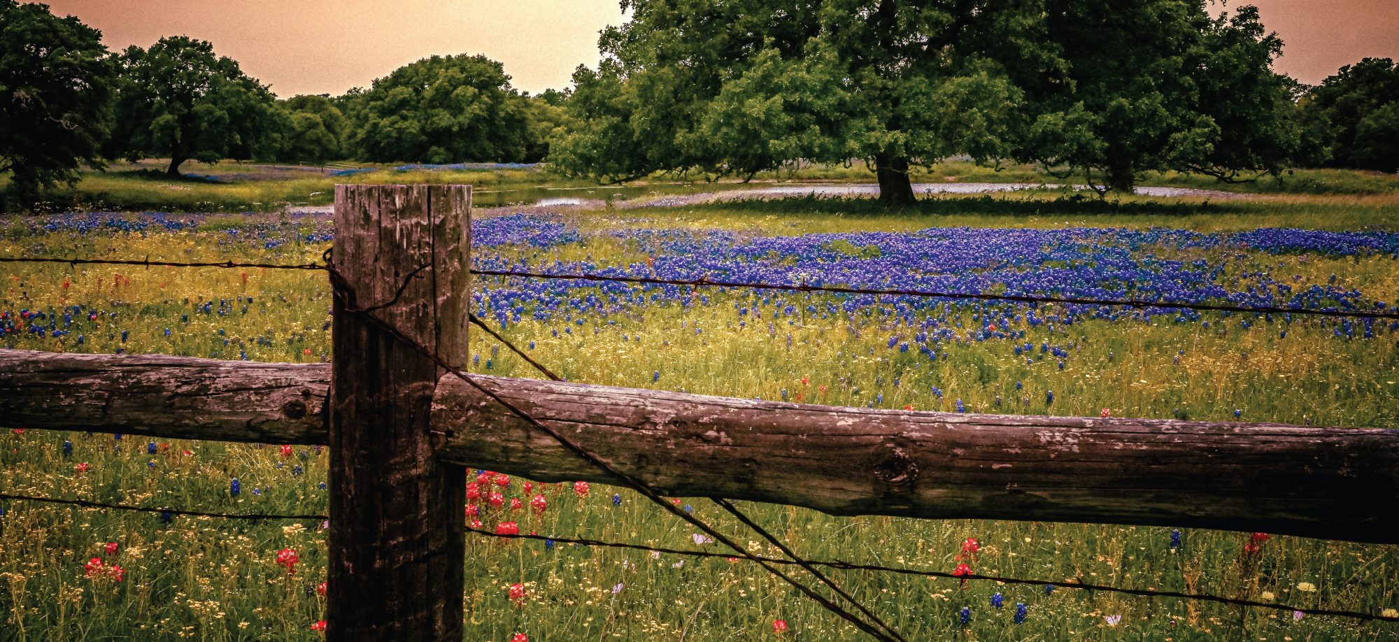 Simple Header Ranch