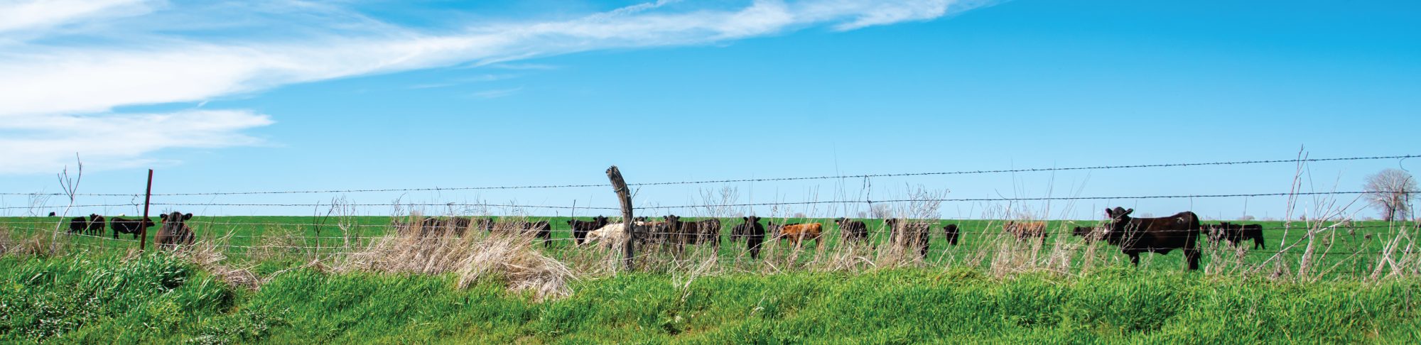 Farm Ranch Header